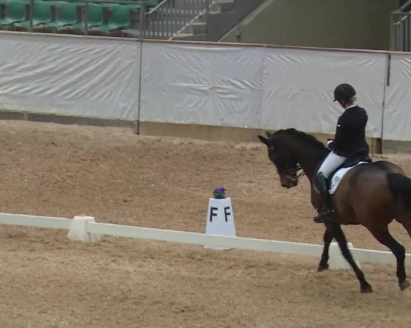 Reitturnier Kreuth/Opf. 2019