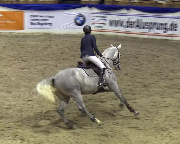 Reitturnier Neumünster 2019