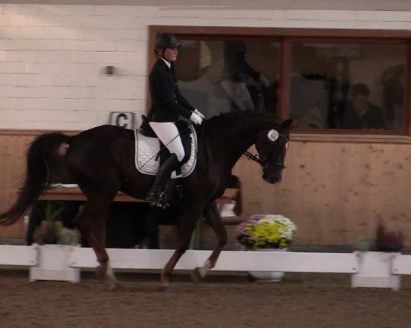 Reitturnier Hövelhof 2019