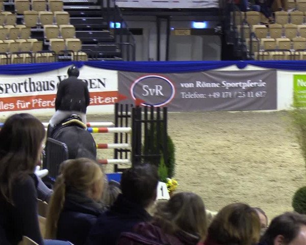 Reitturnier Neumünster 2019