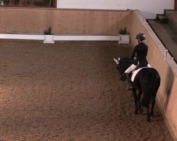 Reitturnier Hövelhof 2019