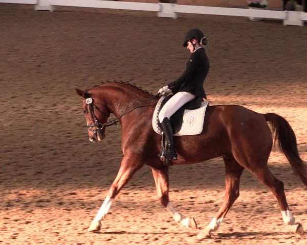 Reitturnier Hövelhof 2019