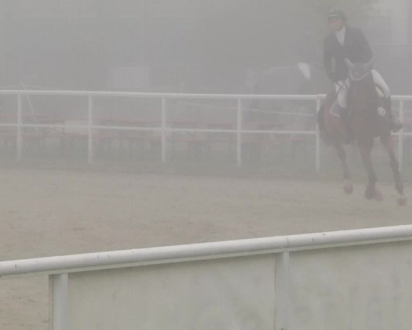 Reitturnier Langenau 2019