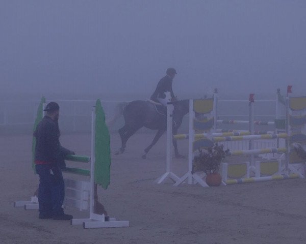 Reitturnier Langenau 2019