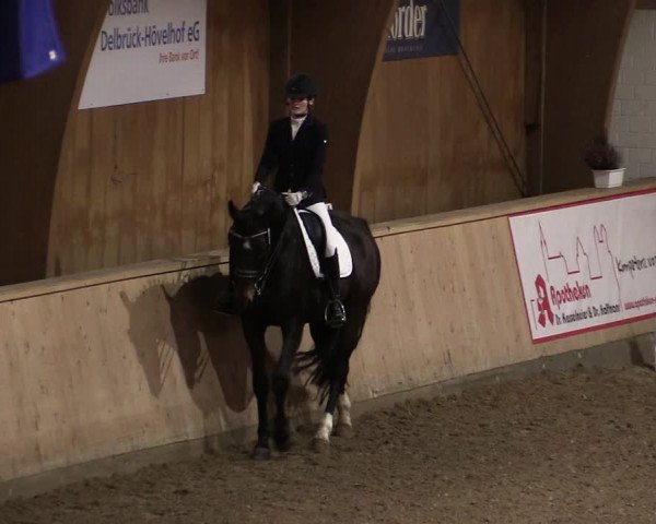 Reitturnier Hövelhof 2019