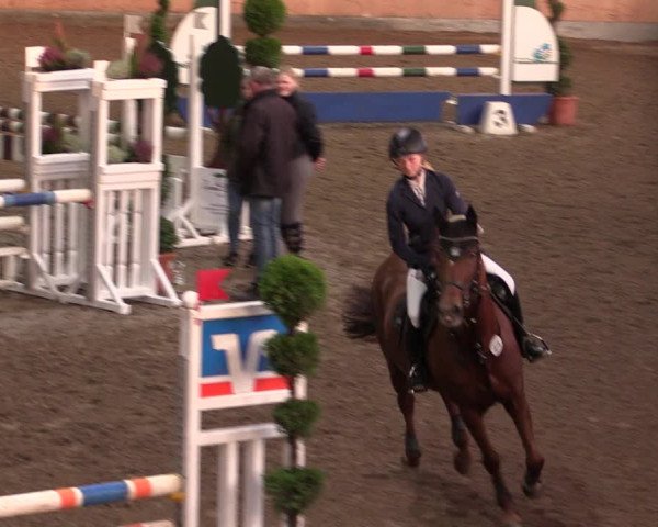 Reitturnier Hövelhof 2019