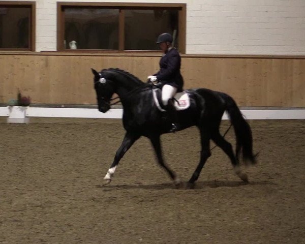 Reitturnier Hövelhof 2019
