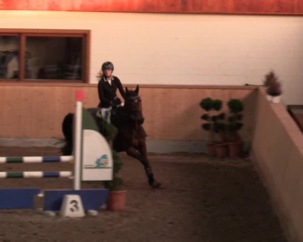 Reitturnier Hövelhof 2019
