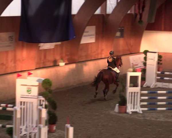 Reitturnier Hövelhof 2019