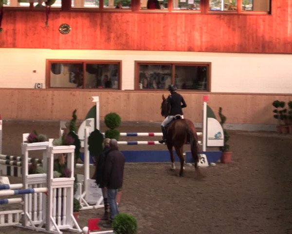 Reitturnier Hövelhof 2019