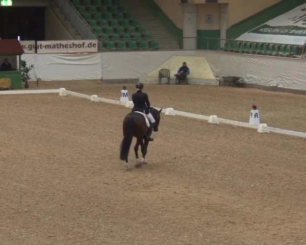 Reitturnier Kreuth/Opf. 2019
