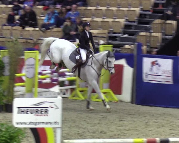 Reitturnier Neumünster 2019