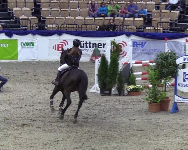 Reitturnier Neumünster 2019