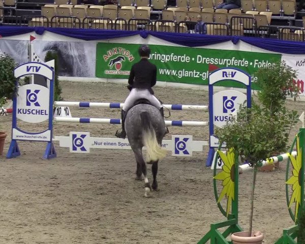 Reitturnier Neumünster 2019