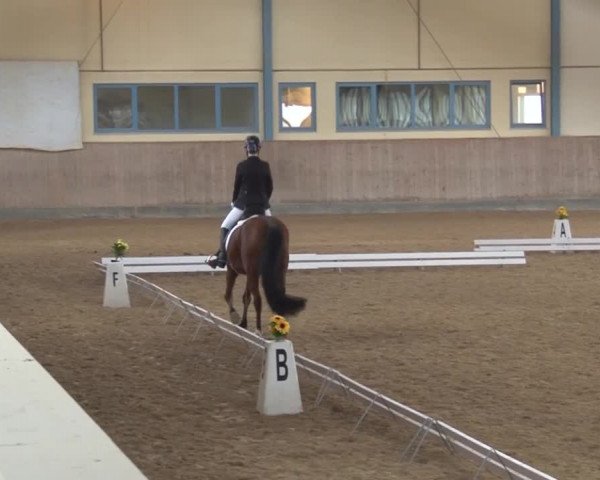 Reitturnier Kreuth/Opf. 2019