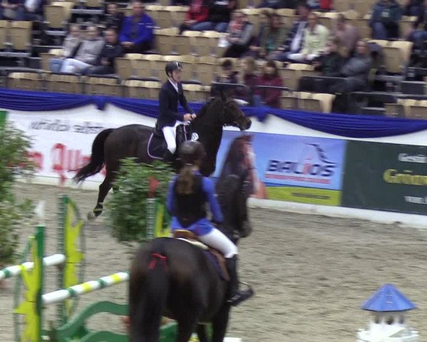 Reitturnier Neumünster 2019