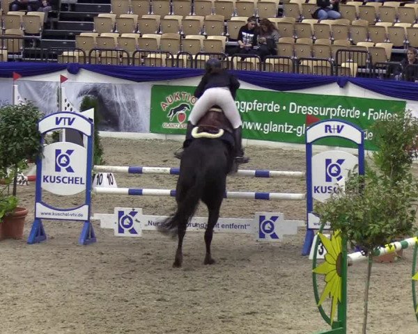 Reitturnier Neumünster 2019