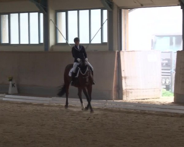 Reitturnier Kreuth/Opf. 2019
