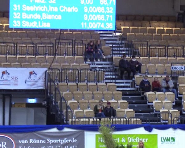 Reitturnier Neumünster 2019