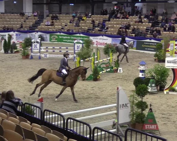 Reitturnier Neumünster 2019
