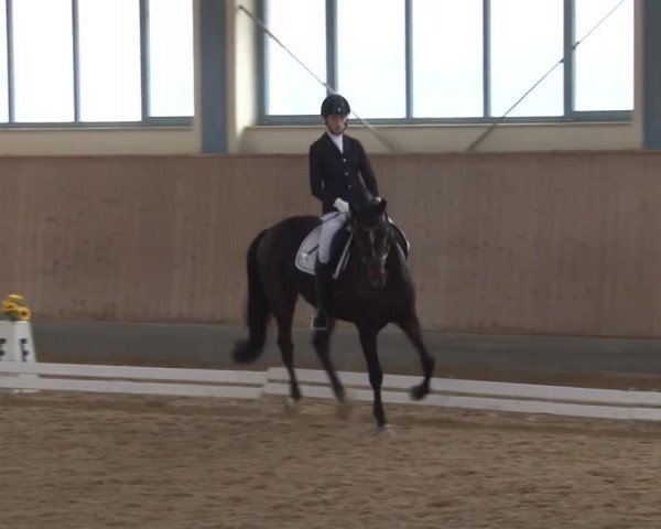 Reitturnier Kreuth/Opf. 2019