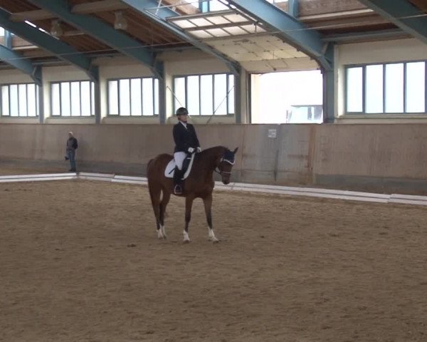 Reitturnier Kreuth/Opf. 2019