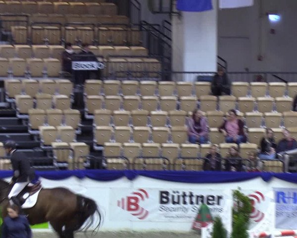 Reitturnier Neumünster 2019