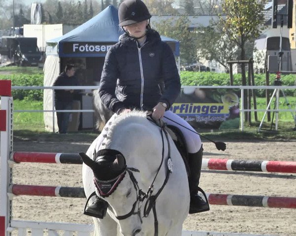 Reitturnier Langenau 2019