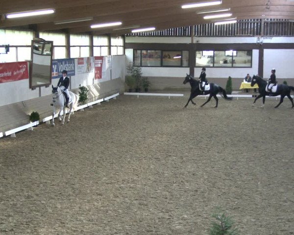 Reitturnier Vlotho-Valdorf 2019