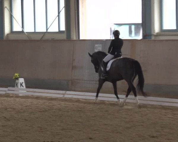 Reitturnier Kreuth/Opf. 2019