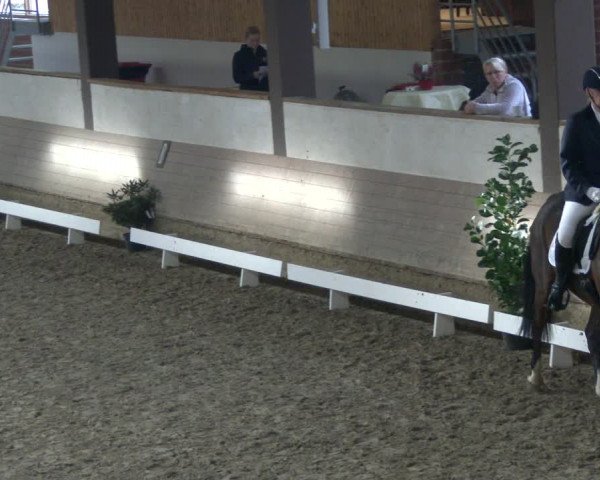 Reitturnier Vlotho-Valdorf 2019