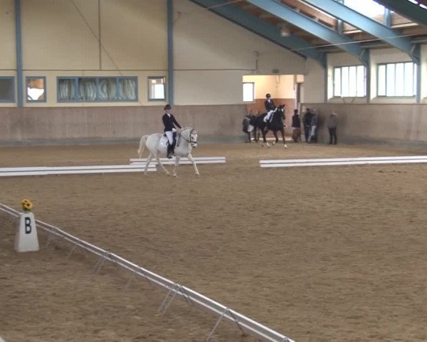 Reitturnier Kreuth/Opf. 2019