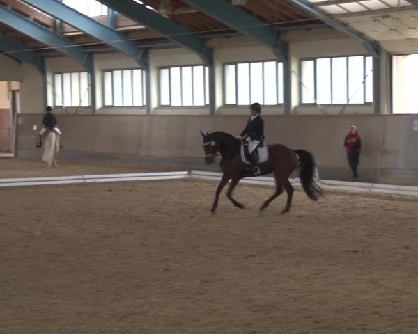 Reitturnier Kreuth/Opf. 2019