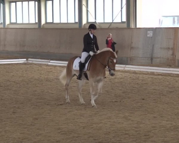 Reitturnier Kreuth/Opf. 2019