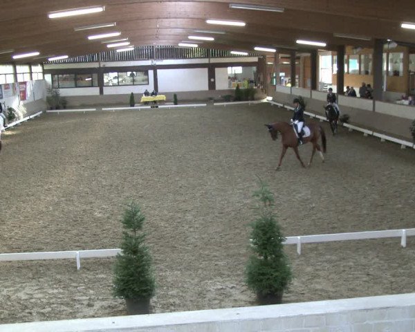 Reitturnier Vlotho-Valdorf 2019