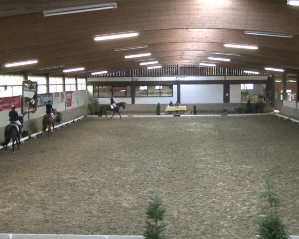 Reitturnier Vlotho-Valdorf 2019