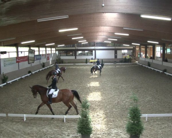 Reitturnier Vlotho-Valdorf 2019