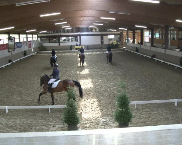 Reitturnier Vlotho-Valdorf 2019