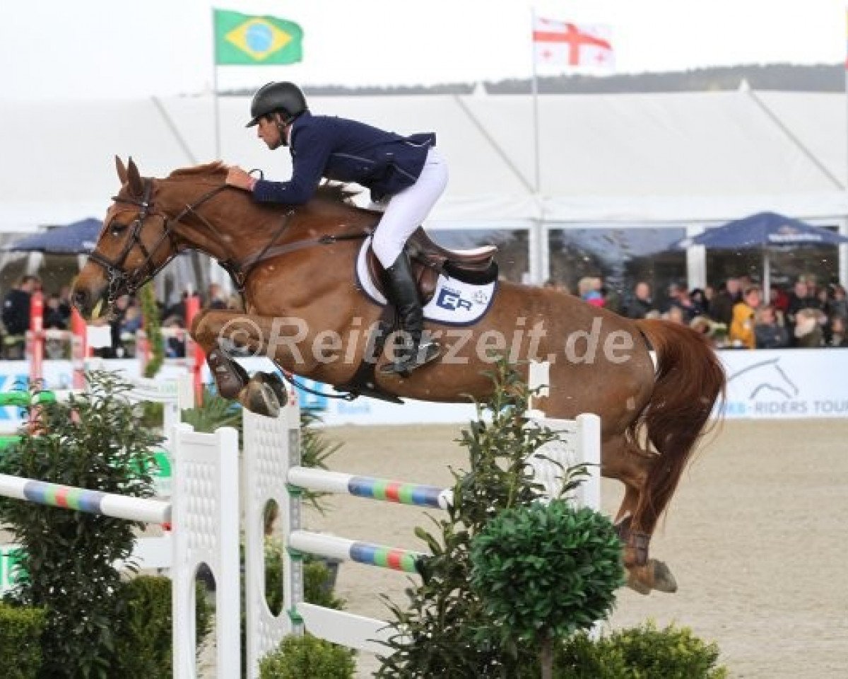 Caballo de salto U Watch (Caballo deportivo belga, 2004, de President)