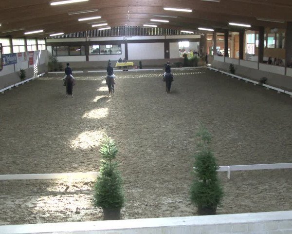 Reitturnier Vlotho-Valdorf 2019