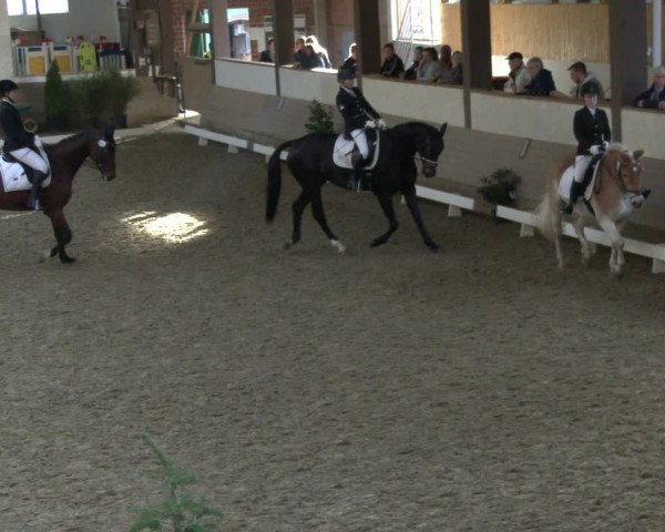 Reitturnier Vlotho-Valdorf 2019