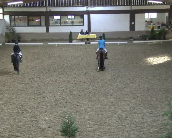 Reitturnier Vlotho-Valdorf 2019
