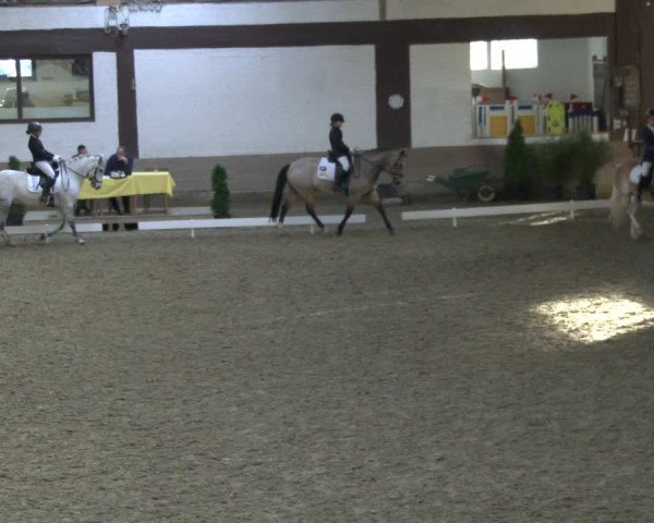 Reitturnier Vlotho-Valdorf 2019