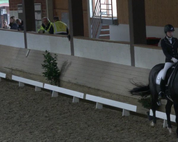 Reitturnier Vlotho-Valdorf 2019
