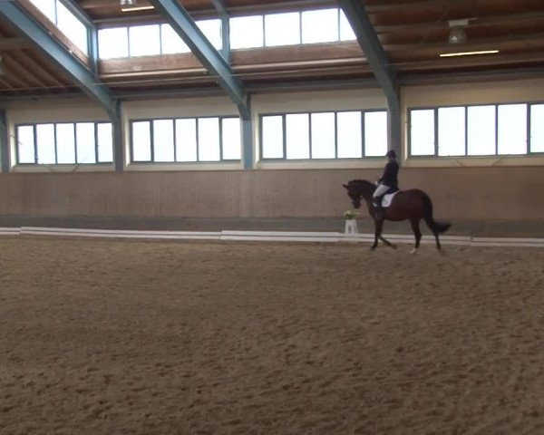 Reitturnier Kreuth/Opf. 2019