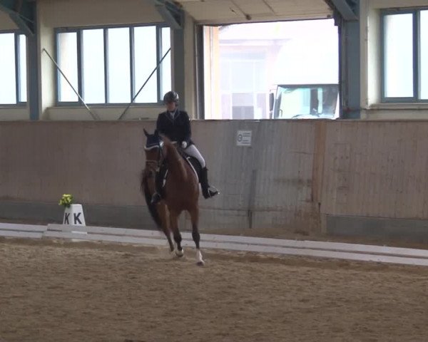 Reitturnier Kreuth/Opf. 2019