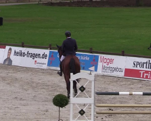 Reitturnier Westergellersen 2021