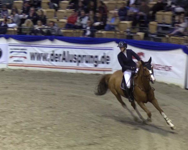 Reitturnier Neumünster 2019