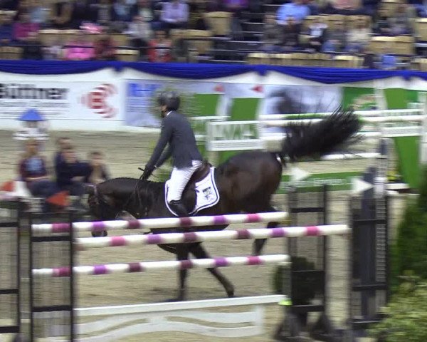 Reitturnier Neumünster 2019
