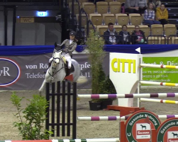 Reitturnier Neumünster 2019